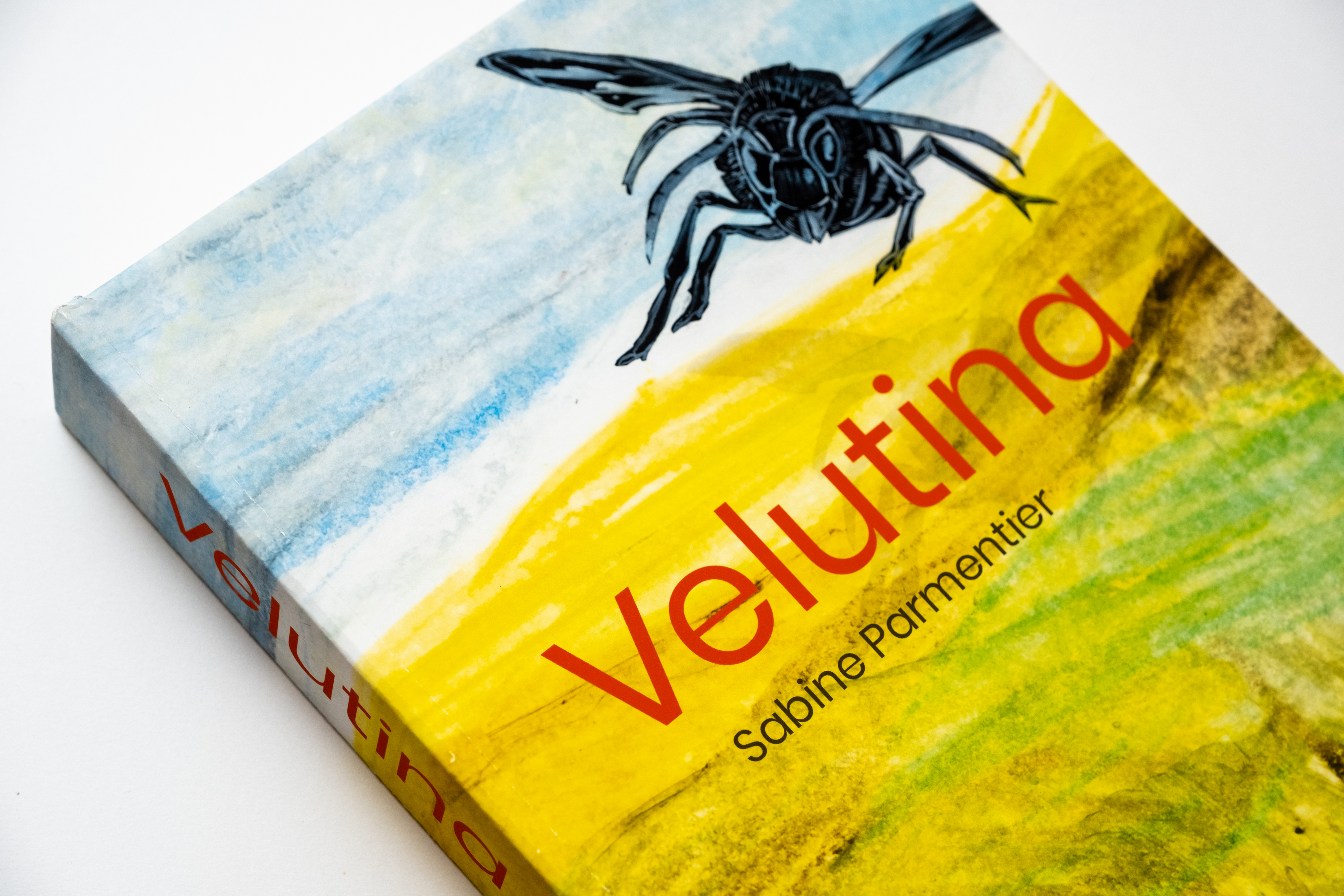Velutina